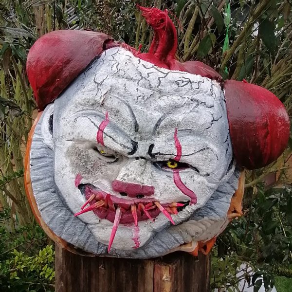 IMG_20191105_081730_1